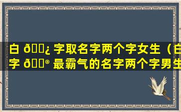 白 🌿 字取名字两个字女生（白字 💮 最霸气的名字两个字男生）